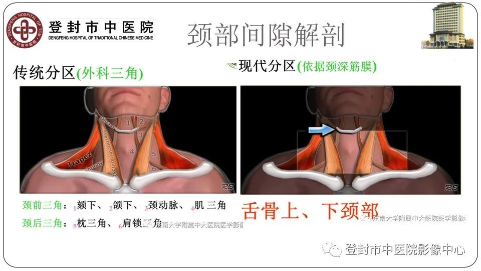 影像PPT - 【PPT】颈部先天性囊性病变-2