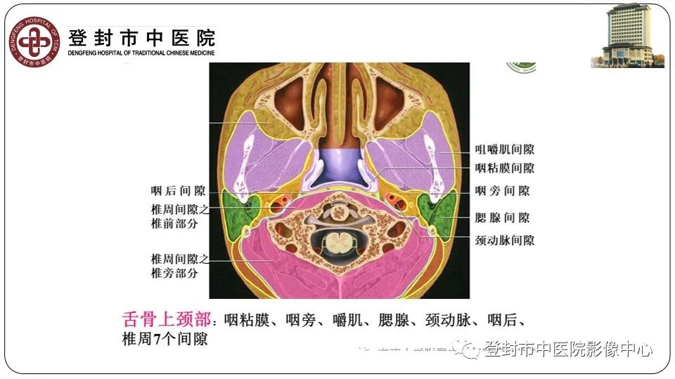 影像PPT - 【PPT】颈部先天性囊性病变-3