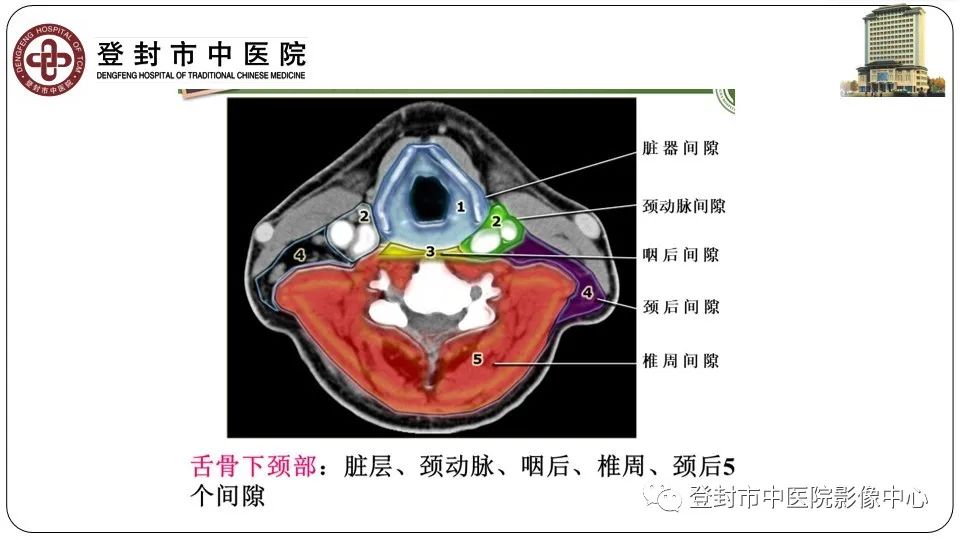 影像PPT - 【PPT】颈部先天性囊性病变-4