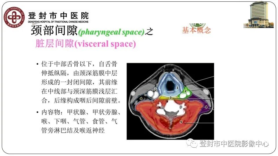 影像PPT - 【PPT】颈部先天性囊性病变-6