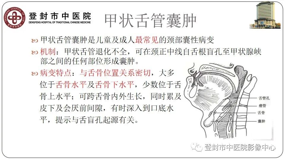 影像PPT - 【PPT】颈部先天性囊性病变-9