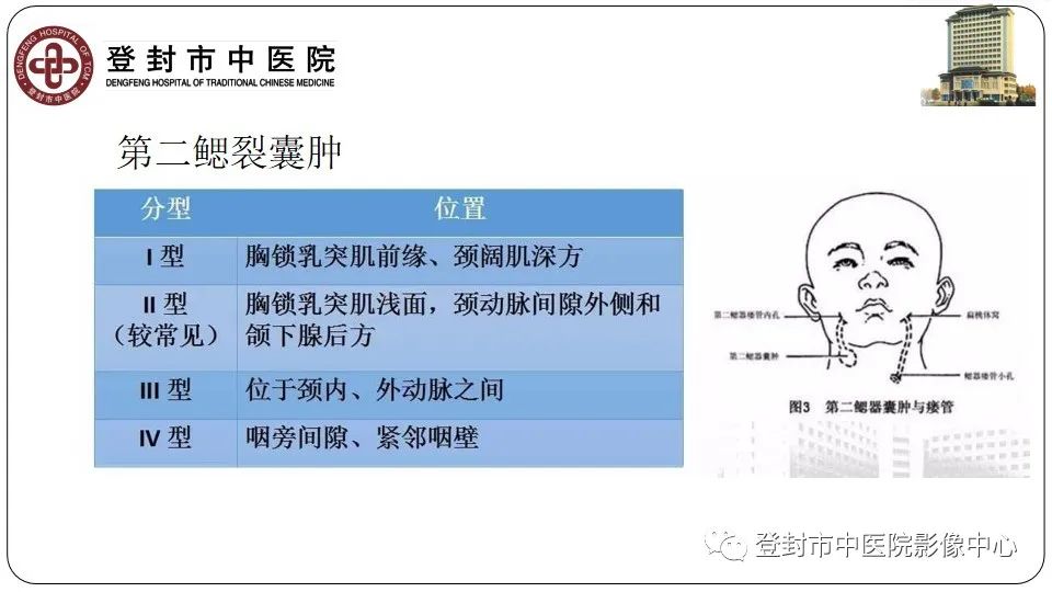 影像PPT - 【PPT】颈部先天性囊性病变-16