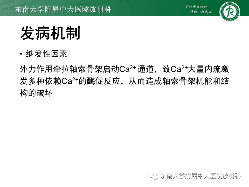影像PPT - 【PPT】弥漫性轴索损伤-11