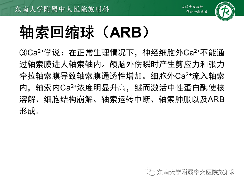 影像PPT - 【PPT】弥漫性轴索损伤-16