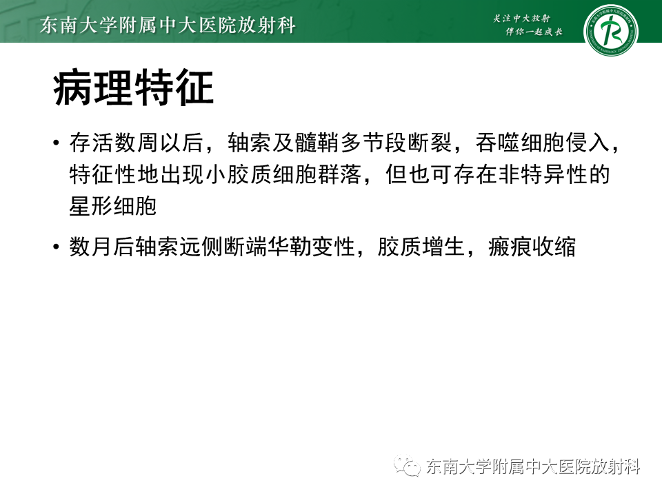 影像PPT - 【PPT】弥漫性轴索损伤-17