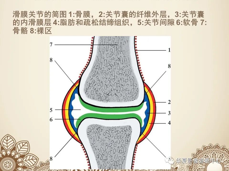 影像PPT - 【PPT】类风湿性关节炎的早期影像学诊断-10