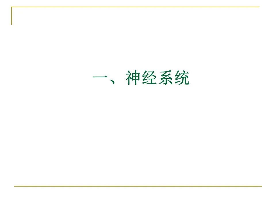 影像PPT - 【PPT】临床专业住院医师结业技能考核-4