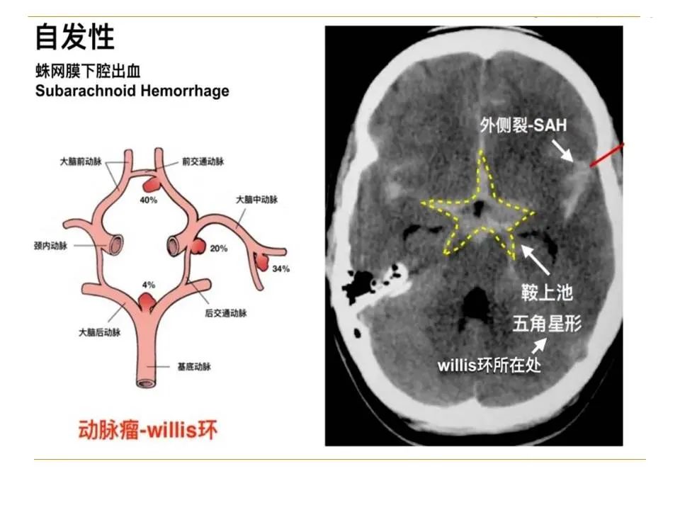 影像PPT - 【PPT】临床专业住院医师结业技能考核-9