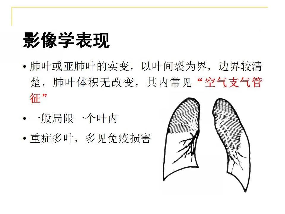 影像PPT - 【PPT】临床专业住院医师结业技能考核-41