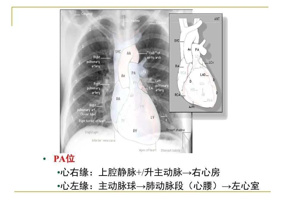 影像PPT - 【PPT】临床专业住院医师结业技能考核-80