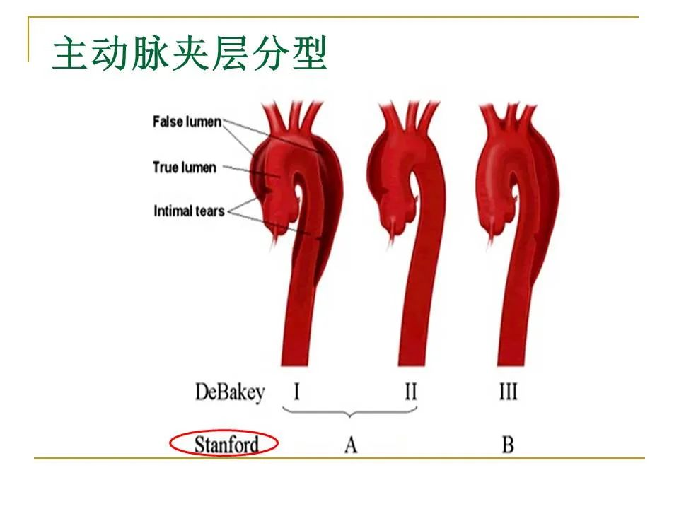 影像PPT - 【PPT】临床专业住院医师结业技能考核-88