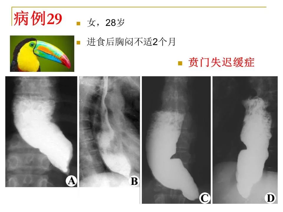 影像PPT - 【PPT】临床专业住院医师结业技能考核-105