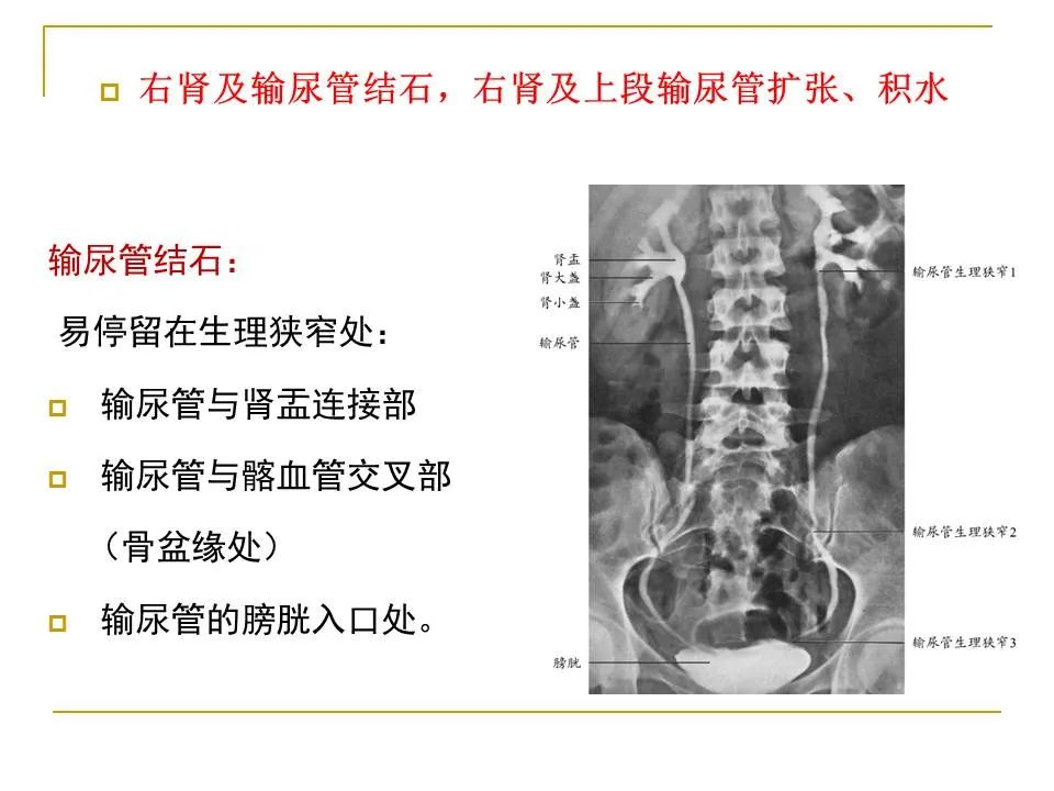 影像PPT - 【PPT】临床专业住院医师结业技能考核-150