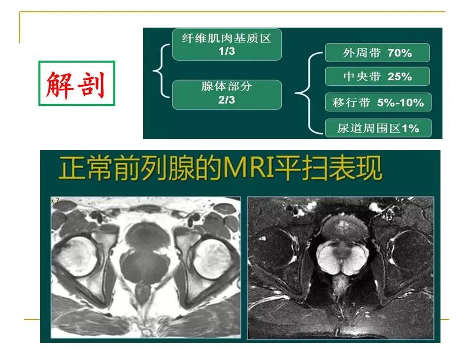影像PPT - 【PPT】临床专业住院医师结业技能考核-160