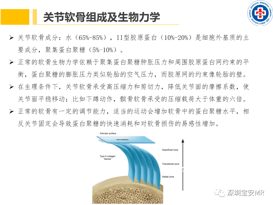 影像PPT - 【PPT】常见疾病—骨性关节炎磁共振检查-7