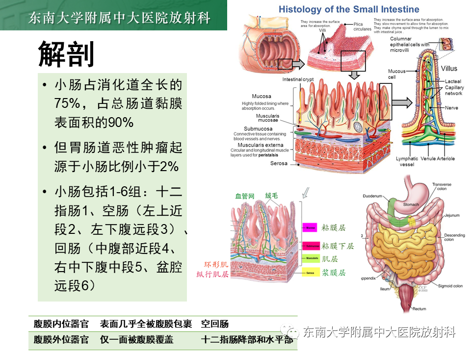 影像PPT - 【PPT】病例讨论：小肠恶性肿瘤-38