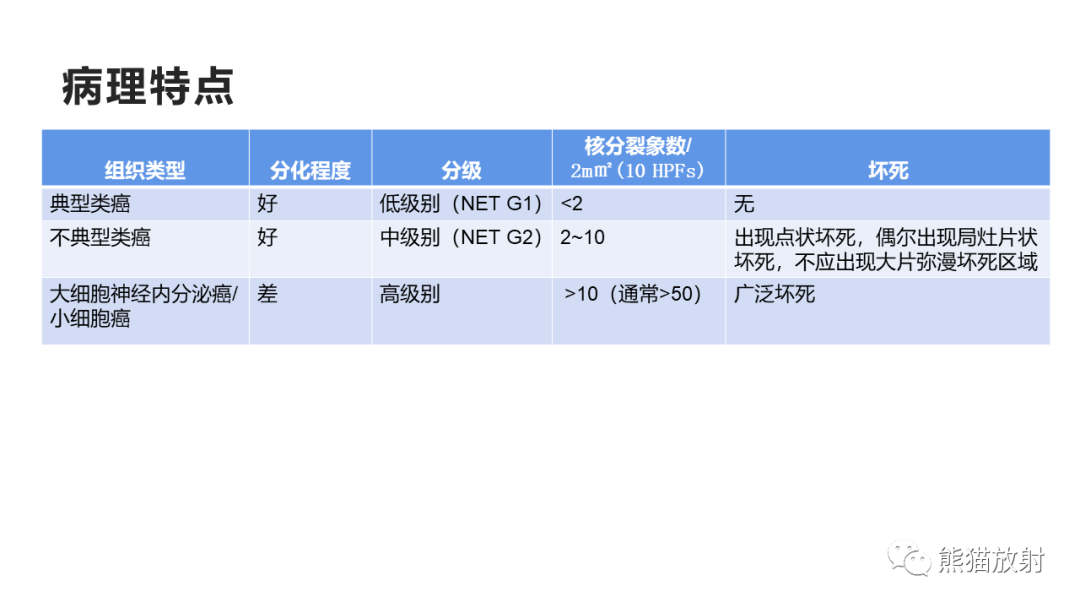 影像PPT - 【病例】肺大细胞神经内分泌癌2例CT影像-22