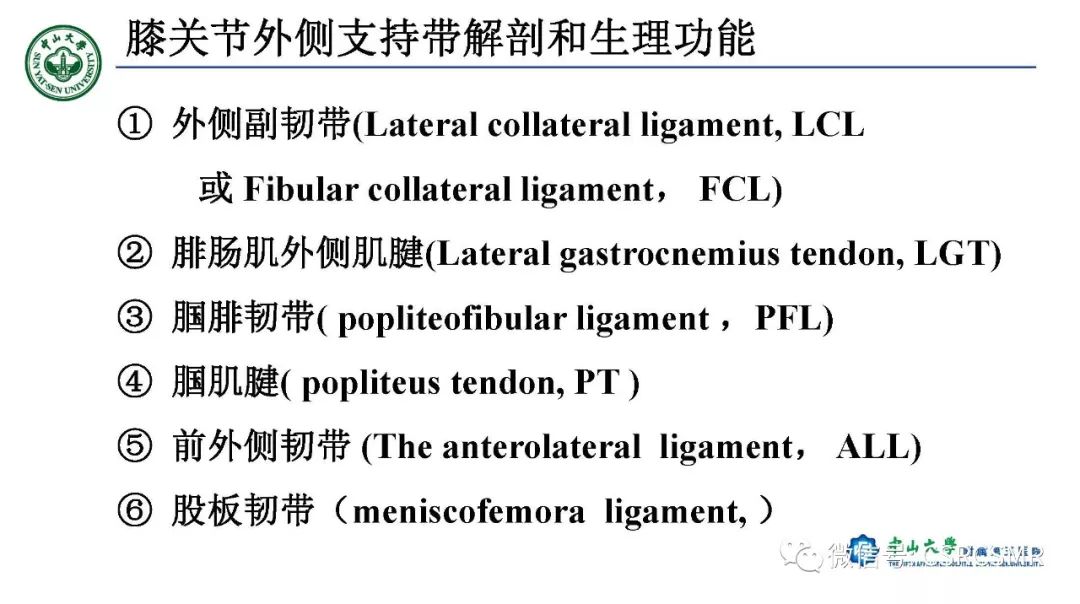 影像PPT - 【PPT】膝关节后外侧角区影像解剖及损伤后影像学诊断-4