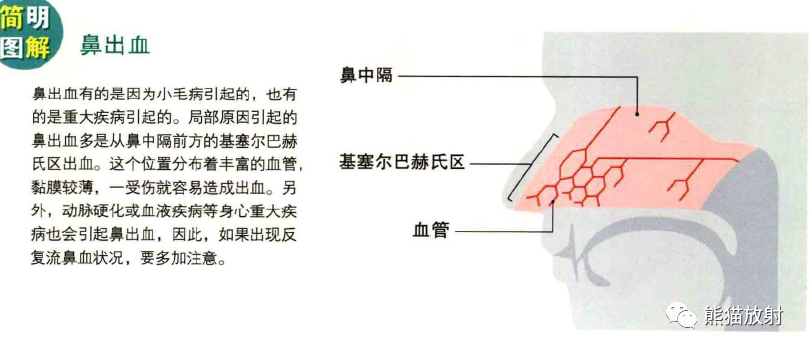 影像PPT - 耳、鼻、咽喉解剖-16