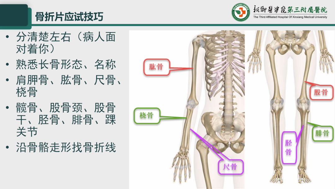 影像PPT - 【PPT】执业医师技能考试 影像篇·病例实训-5