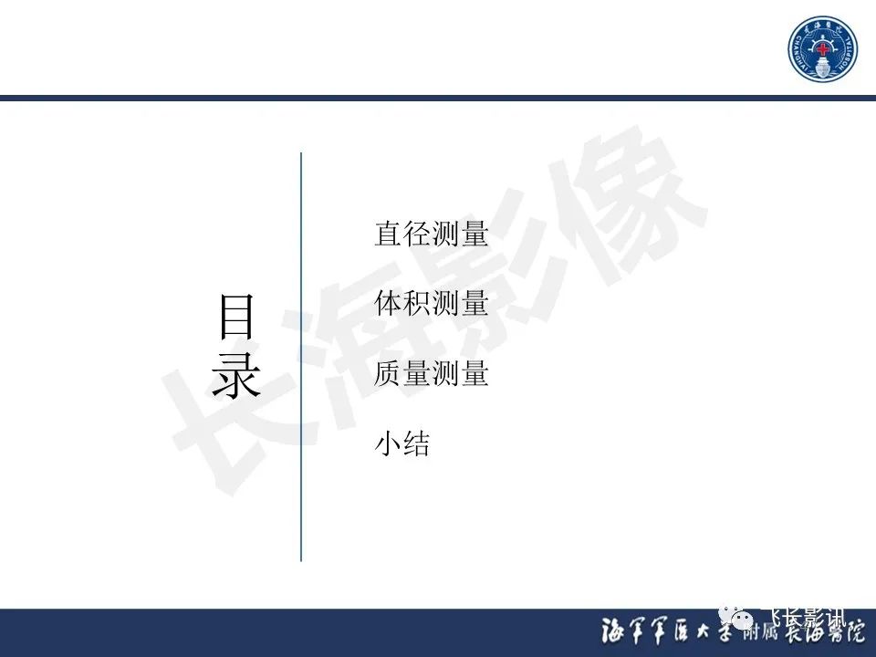 影像PPT - 【PPT】肺结节的CT定量测量-4