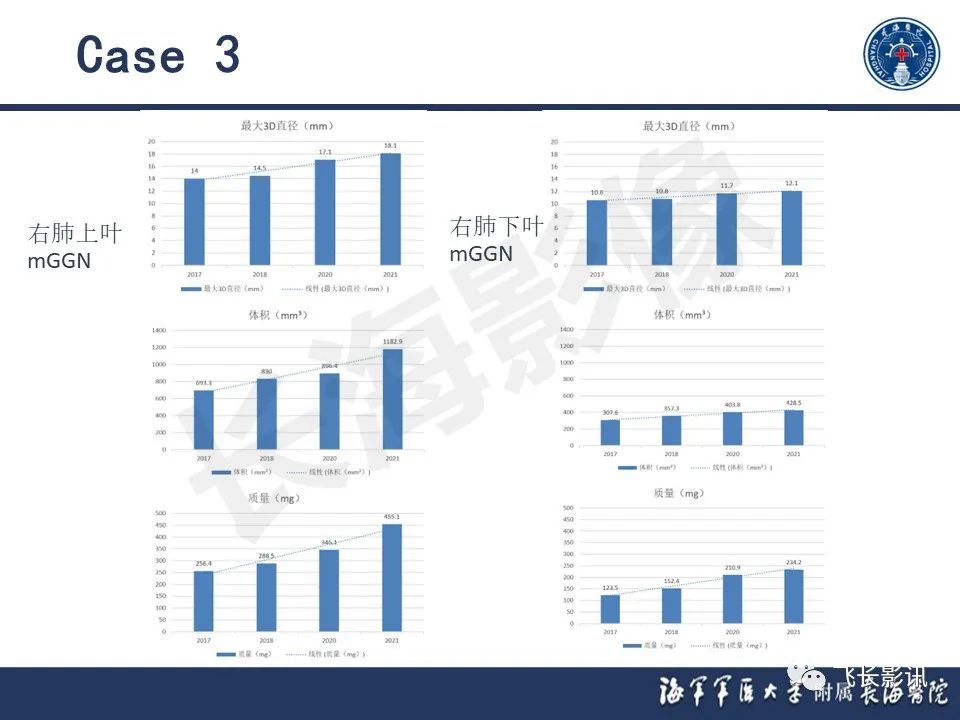 影像PPT - 【PPT】肺结节的CT定量测量-28