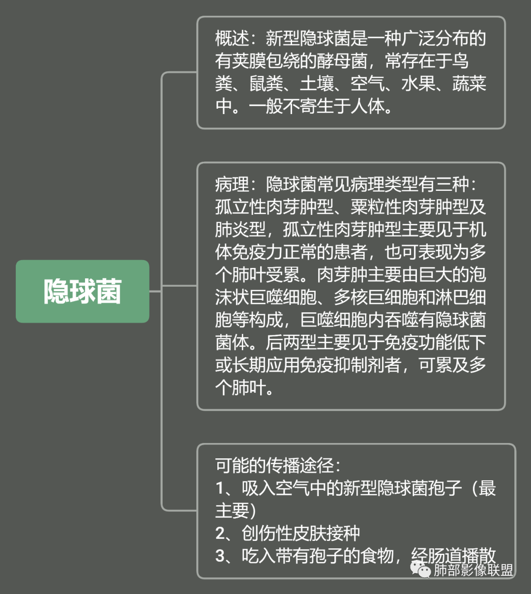 影像PPT - 【病例】 如此扮相的隐球菌,你敢诊断吗?-23 影像PPT - 【病例】 如此扮相的隐球菌,你敢诊断吗?-23