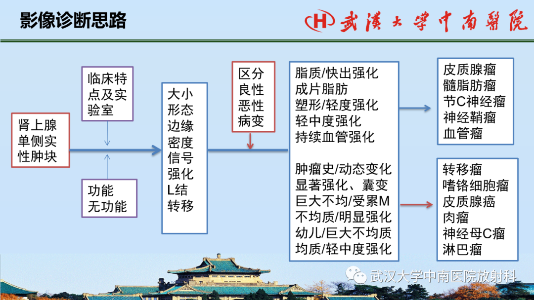 影像PPT - 【PPT】腹盆病例讨论（肾上腺）-40