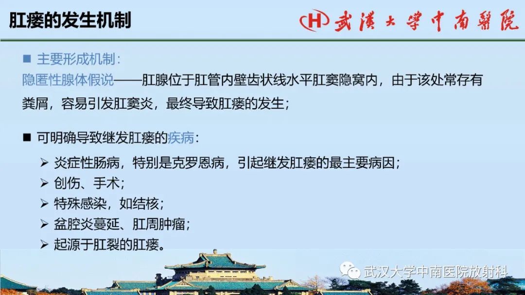 影像PPT - 【PPT】肛瘘的MRI成像与诊断-13