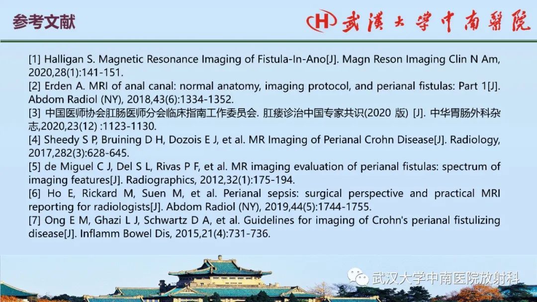 影像PPT - 【PPT】肛瘘的MRI成像与诊断-38