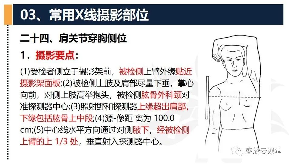影像PPT - 【PPT】数字X线摄影检查（二）-23