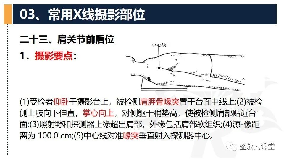 影像PPT - 【PPT】数字X线摄影检查（二）-21