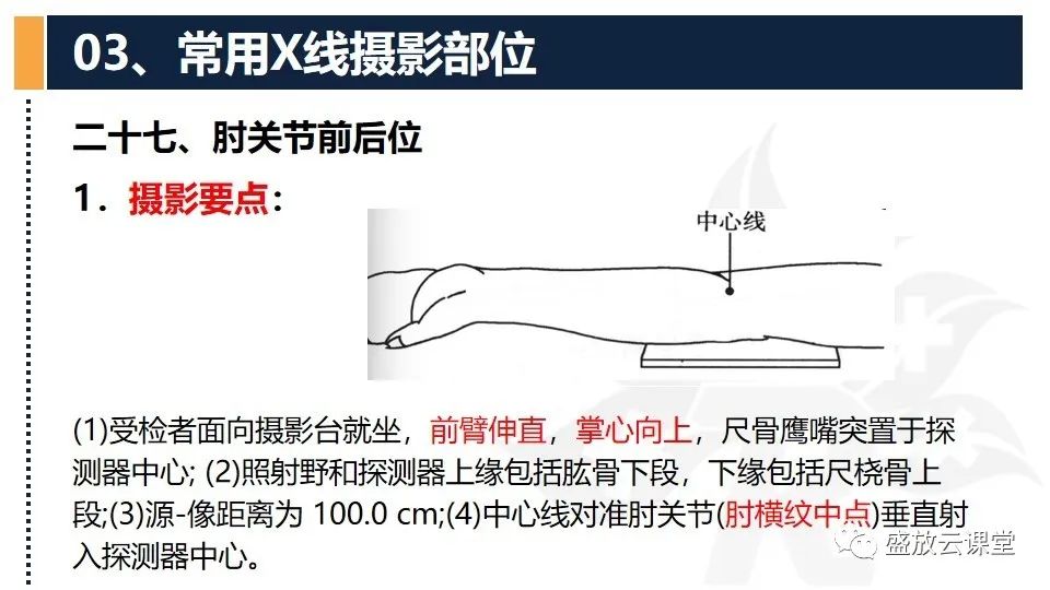 影像PPT - 【PPT】数字X线摄影检查（二）-29