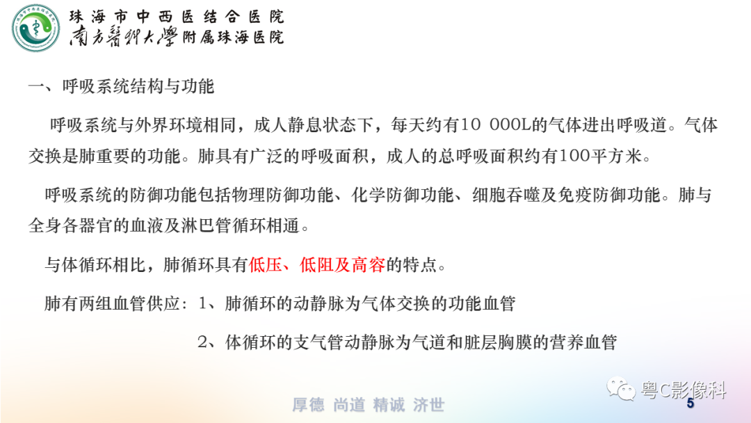 影像PPT - 【PPT】呼吸系统基本病变影像学表现-5