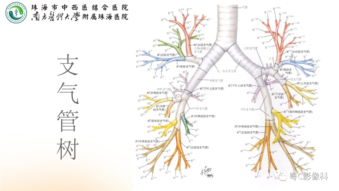影像PPT - 【PPT】呼吸系统基本病变影像学表现-6