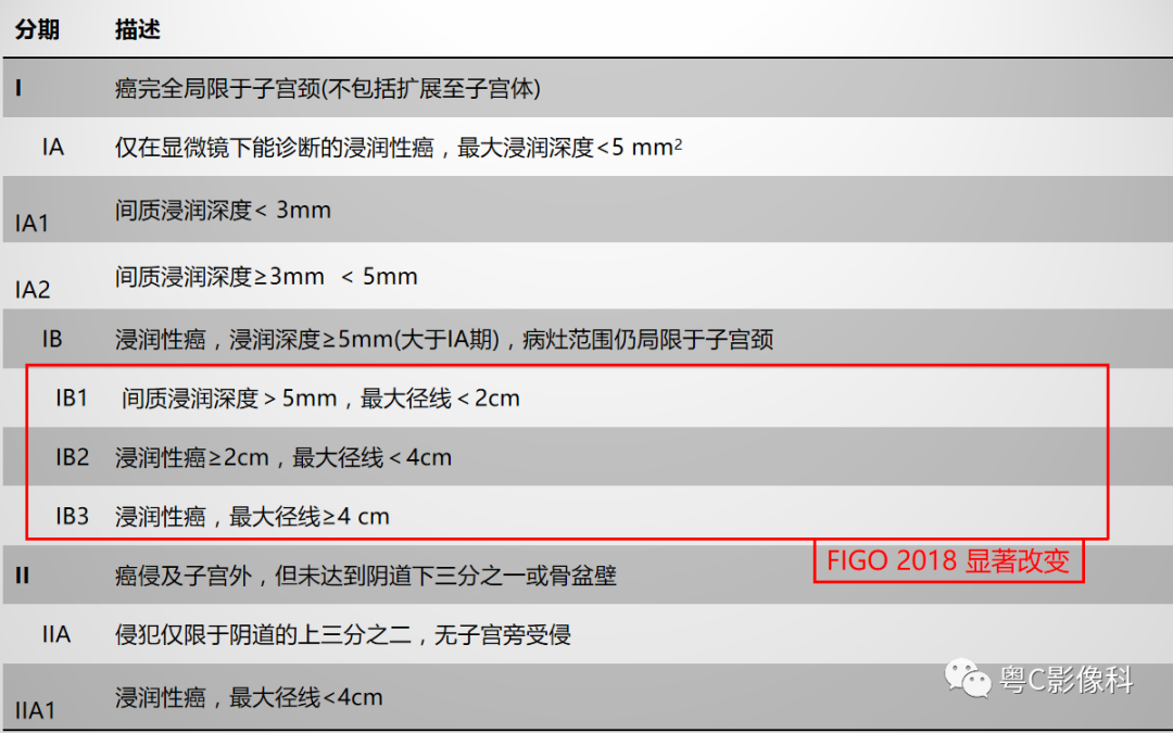 影像PPT - 【PPT】宫颈癌最新FIGO分期：2019年影像医生须知-5