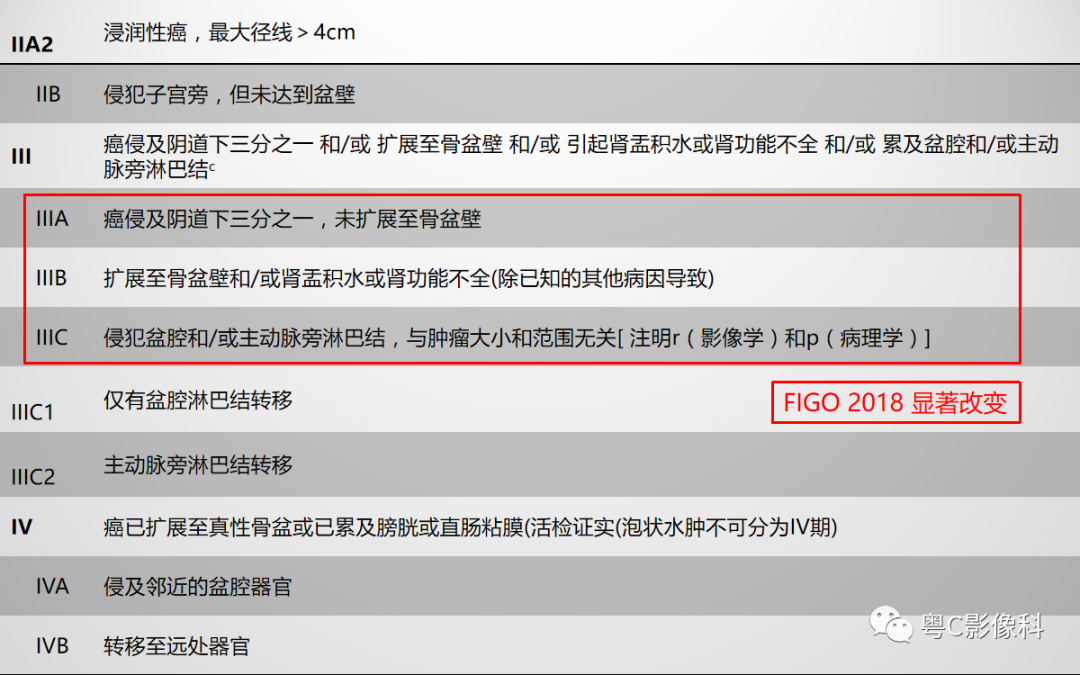影像PPT - 【PPT】宫颈癌最新FIGO分期：2019年影像医生须知-6