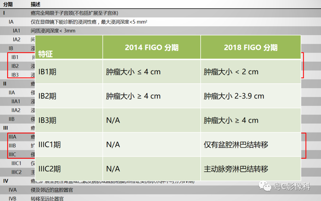 影像PPT - 【PPT】宫颈癌最新FIGO分期：2019年影像医生须知-7
