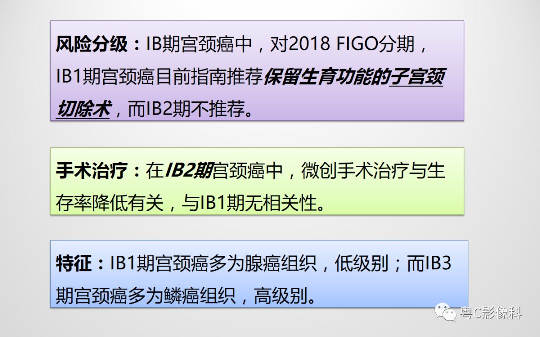 影像PPT - 【PPT】宫颈癌最新FIGO分期：2019年影像医生须知-15