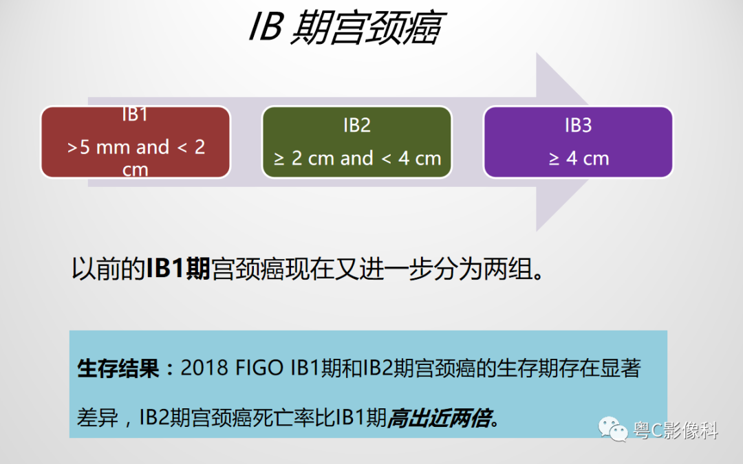 影像PPT - 【PPT】宫颈癌最新FIGO分期：2019年影像医生须知-14