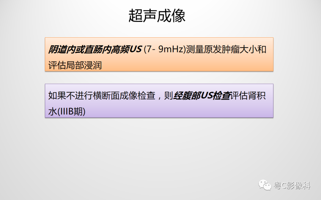 影像PPT - 【PPT】宫颈癌最新FIGO分期：2019年影像医生须知-30