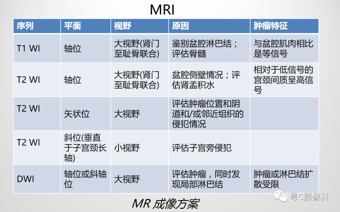 影像PPT - 【PPT】宫颈癌最新FIGO分期：2019年影像医生须知-33