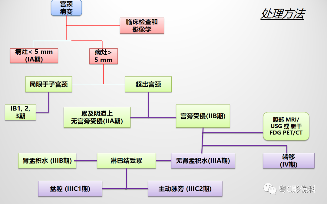 影像PPT - 【PPT】宫颈癌最新FIGO分期：2019年影像医生须知-46
