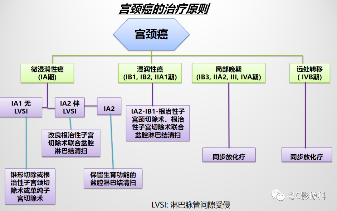 影像PPT - 【PPT】宫颈癌最新FIGO分期：2019年影像医生须知-47