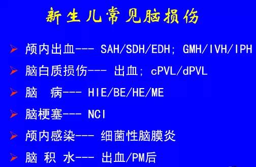 影像PPT - 【PPT】新生儿头部核磁共振成像-6