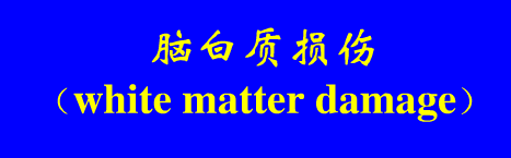 影像PPT - 【PPT】新生儿头部核磁共振成像-13