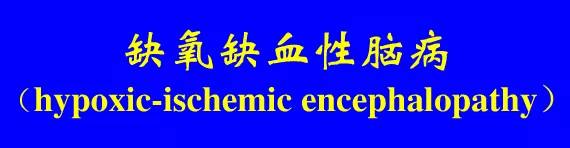 影像PPT - 【PPT】新生儿头部核磁共振成像-20