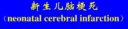 影像PPT - 【PPT】新生儿头部核磁共振成像-29