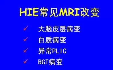 影像PPT - 【PPT】新生儿头部核磁共振成像-21