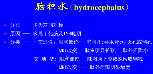影像PPT - 【PPT】新生儿头部核磁共振成像-38